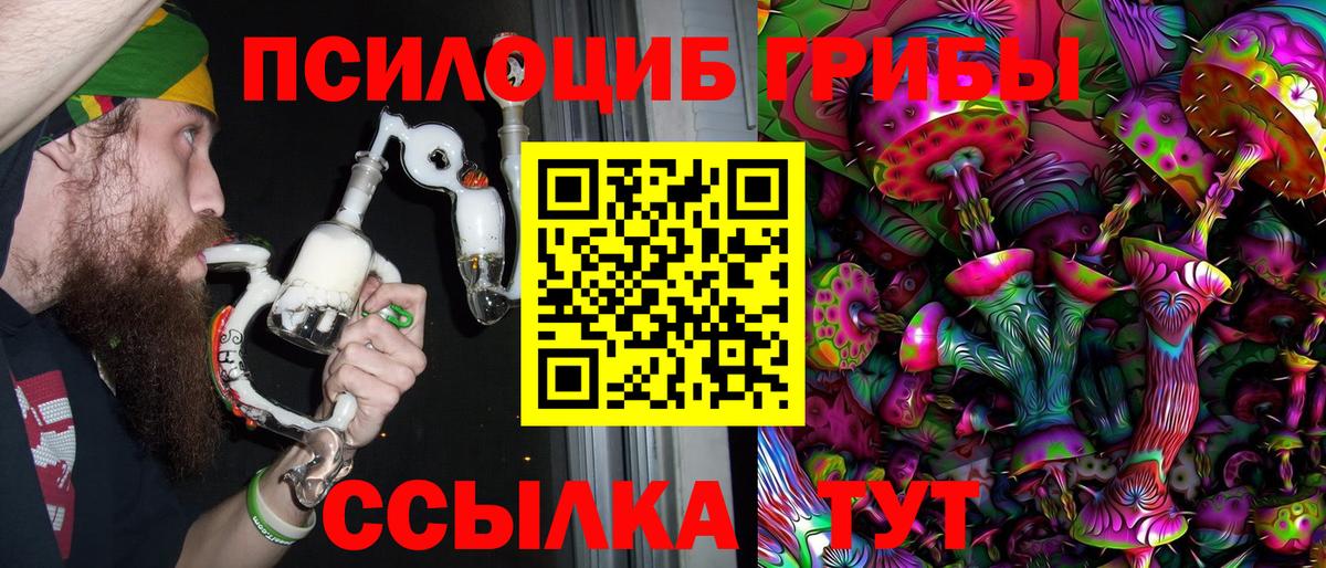 Псилоцибиновые грибы Psilocybine cubensis Грязи