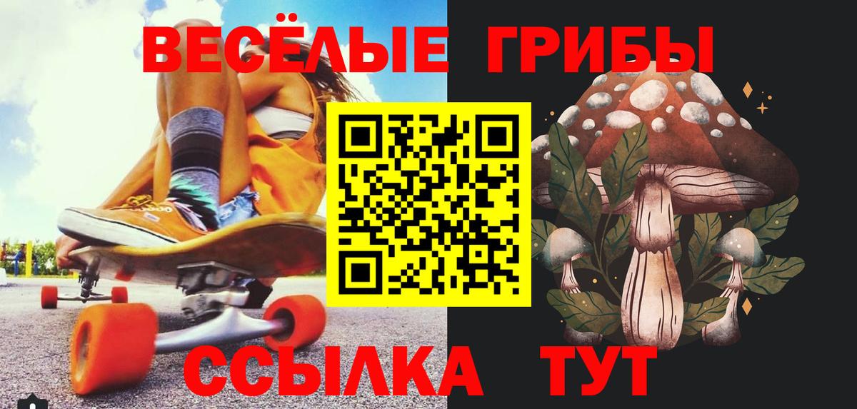 Псилоцибиновые грибы прущие грибы  Вход с VPN  Грязи 