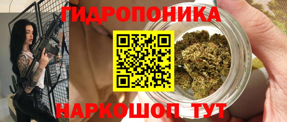 Конопля OG Kush Грязи